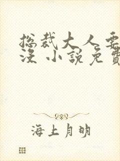 总裁大人要够了没 小说免费阅读