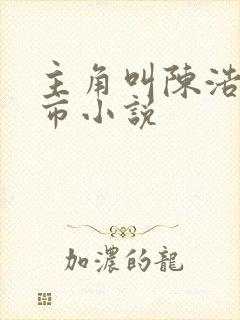 主角叫陈浩的都市小说封面