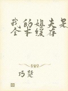 我的姐夫是太子全本缓存