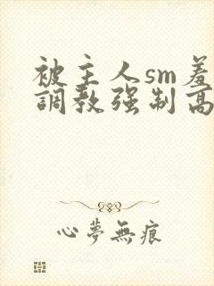 被主人sm羞辱调教强制高潮