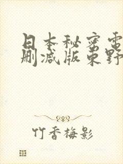 日本秘密电影未删减版东野圭吾封面