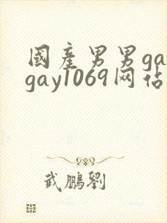 国产男男gaygay1069网站封面