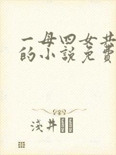 一母四女共一婿的小说免费阅读小冉