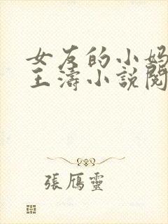 女友的小妈韩凤王涛小说阅读封面