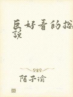 巨好看的总裁小说封面