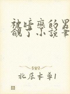 被暗恋的男神觊觎了小说笔趣阁封面