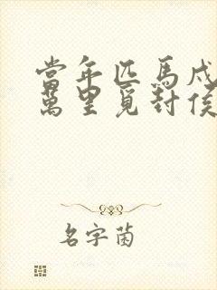 当年匹马戍梁州万里觅封侯