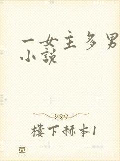 一女主多男主 小说