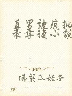 直男被疯批强取豪夺后小说褚阮白