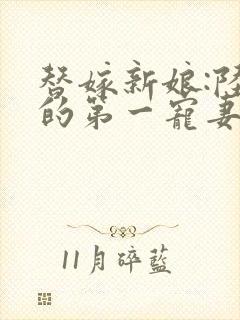 替嫁新娘:陆少的第一宠妻