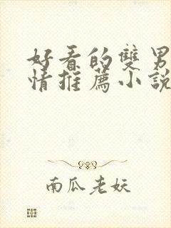 好看的双男主言情推荐小说