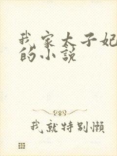 我家太子妃超凶的小说封面