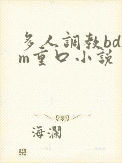 多人调教bdsm重口小说