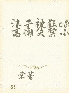 沫子被狂c躁到高潮失禁小说