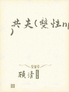 共夫(双性np)