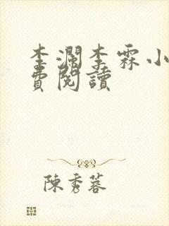 李澜李霖小说免费阅读封面