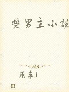 双男主小说恋综