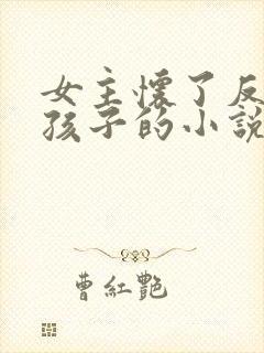 女主怀了反派的孩子的小说