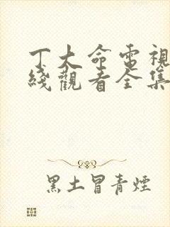 丁大命电视剧在线观看全集免费