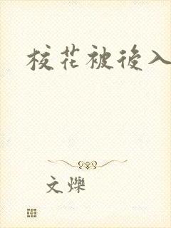 校花被后入小说封面