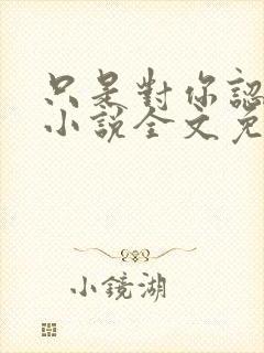 只是对你认了真小说全文免费阅读