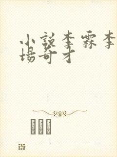 小说李霖李澜官场奇才