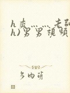 h爽……老师(h)男男视频