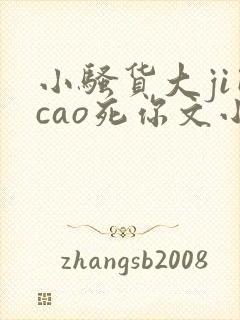 小骚货大ji巴cao死你文小说