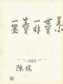 一生一世美人骨墨宝非宝小说在线