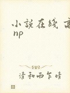 小说在线 高h np