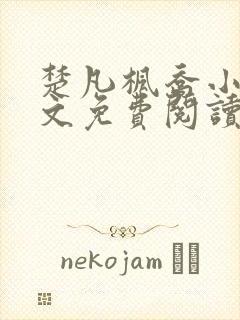 楚凡枫乔小说全文免费阅读最新章节