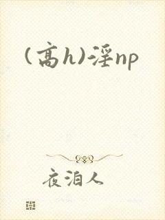 (高h)淫np