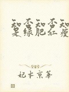 知否知否知否应是绿肥红瘦免费观看全集