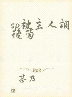 sp被主人调教后菊
