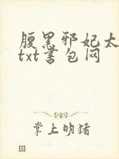 腹黑邪妃太嚣张txt书包网