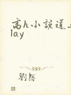 高h小说道具play