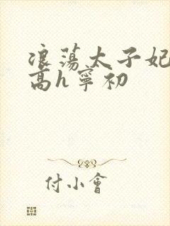 浪荡太子妃省亲高h宁初