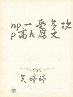 np一受多攻np高h腐文封面