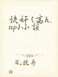 快奸 (高h.np)小说