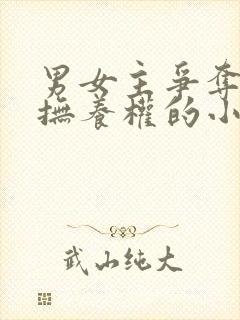 男女主争夺孩子抚养权的小说