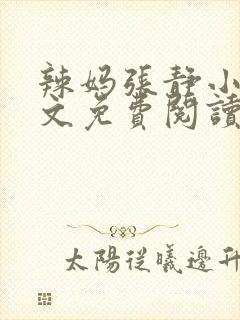 辣妈张静小说全文免费阅读最新章节