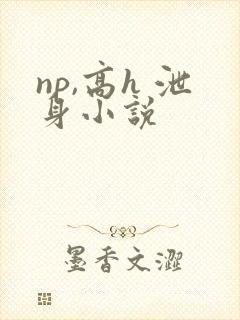 np,高h 泄身小说