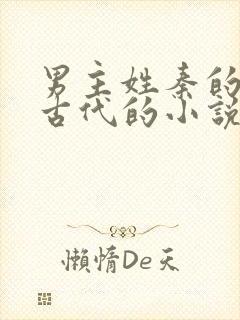 男主姓秦的穿越古代的小说封面