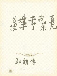 《嫂子我真不是傻子了叶凡》