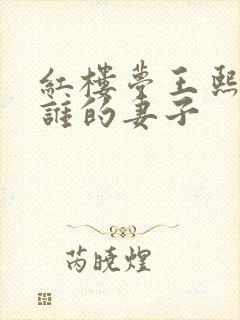 红楼梦王熙凤是谁的妻子