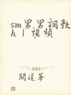 sm男男调教〈h丿视频