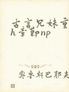 古言兄妹重口高h章节np