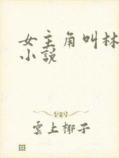 女主角叫林笙的小说