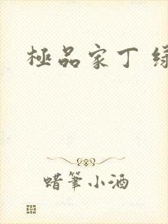 极品家丁 绿帽封面