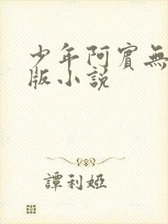 少年阿宾无删减版小说